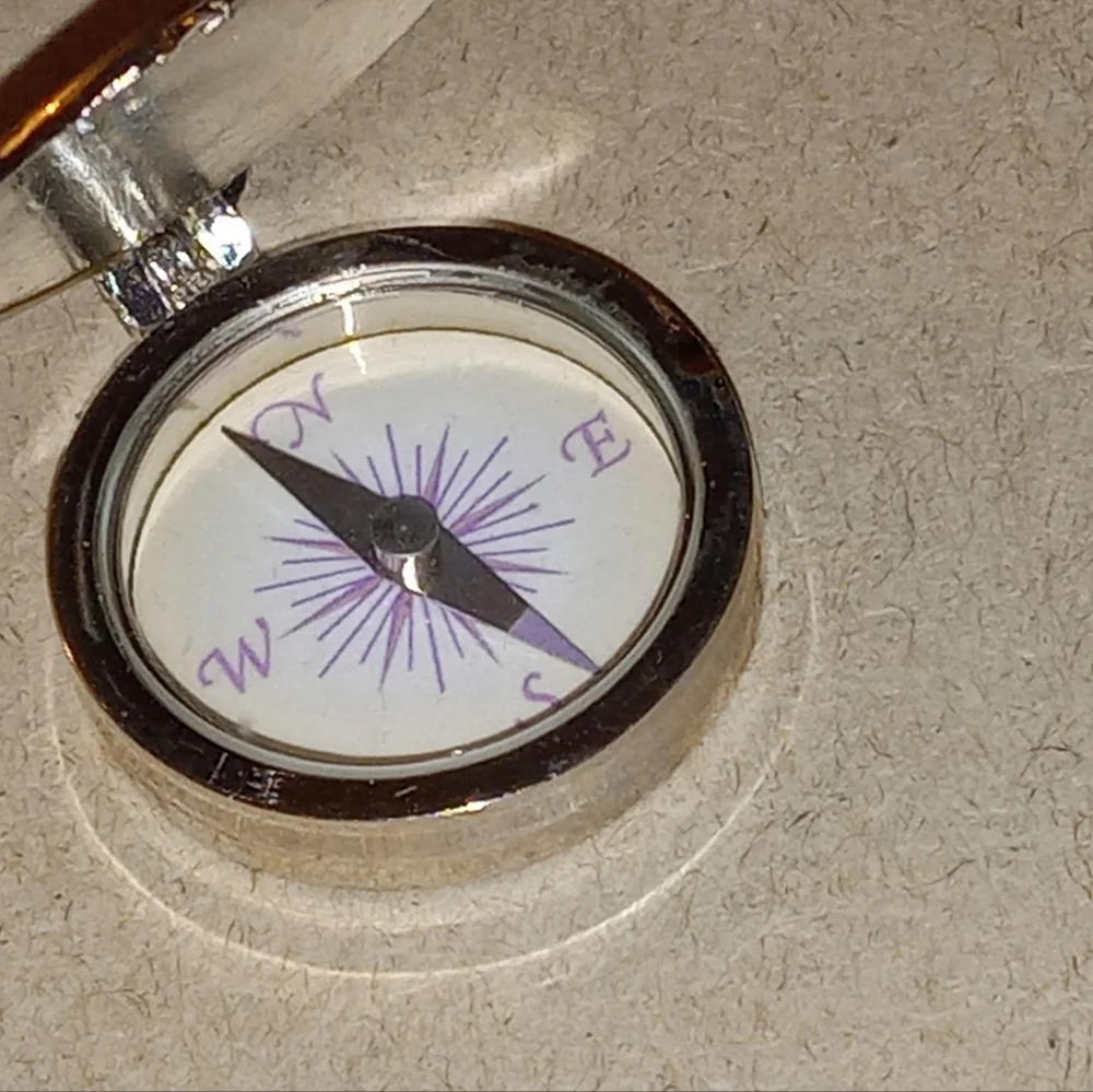 Compass He Leads Me Psalm 23:2 Vintage Necklace - Picture 7 of 14